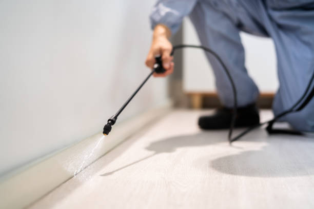 Licensed Pest Control service in Holly Ridge, NC - Show Me Pest Control
