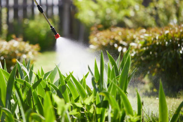24/7 Emergency Mosquito Control experts in Holly Ridge, NC