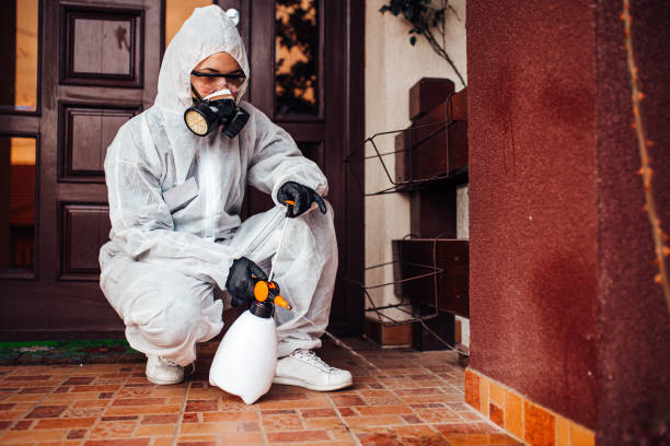 Reliable Mosquito Control contractor in Holly Ridge, NC by Show Me Pest Control